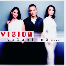 Vision: Valami Más