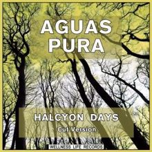 Aguas Pura: Broken Countries (Cut Version)
