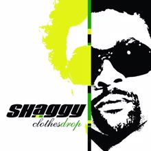 Shaggy: Don't Ask Her That (Album Version) (Don't Ask Her That)