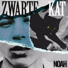 Noah: Zwarte Kat