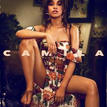 Camila Cabello: Never Be the Same
