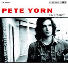 Pete Yorn: Day I Forgot