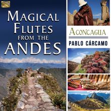 Pablo Carcamo: Magical Flutes from the Andes: Aconcagua