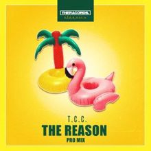 T.c.c.: The Reason (Pro Mix)