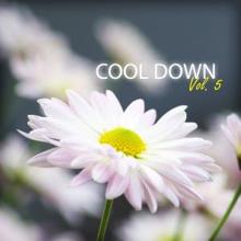 Various Artists: Cool Down, Vol. 5