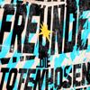 Die Toten Hosen: Freunde (Live in Argentinien)