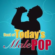 The CDM Chartbreakers: Best Of Today's Male Pop