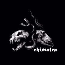 Chimaira: Save Ourselves
