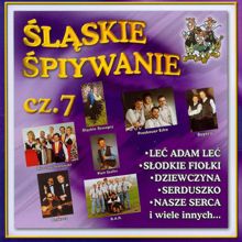 Various Artists: Slaskie Spiywanie cz. 7