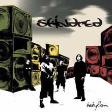 Skindred: The Fear