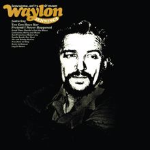 Waylon Jennings: Good Time Charlie's Got the Blues