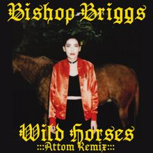 Bishop Briggs: Wild Horses (Attom Remix)
