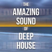 Various Artists: The Amazing Sound of Deep House