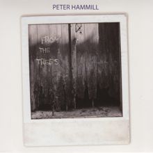 Peter Hammill: On Deaf Ears