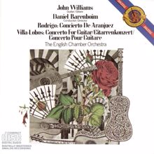 Daniel Barenboim;John Williams;English Chamber Orchestra;James Brown: III. Allegro gentile