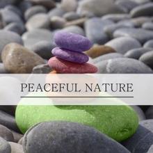 Nature Sounds: Peaceful Nature