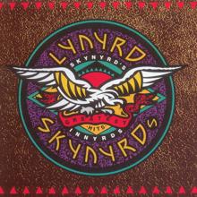 Lynyrd Skynyrd: I Ain't The One