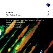 Nikolaus Harnoncourt: Haydn : Die Schöpfung [The Creation] (-  Apex)