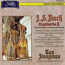 Ton Koopman: Choral 'An Wasserflüssen Babylon', BWV 653