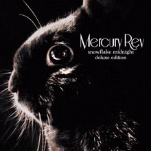 Mercury Rev: 4am Trains Across Kingston