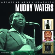 Muddy Waters: I'm Ready