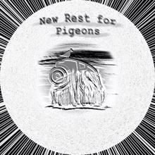 Jerome Rose: New Rest for Pigeons