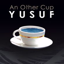 Yusuf / Cat Stevens: In the End