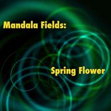 Mandala Fields: Spring Flower