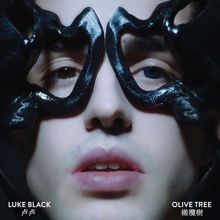 Luke Black: Olive Tree