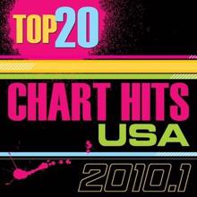The CDM Chartbreakers: Top 20 Chart Hits - 2010.1 USA