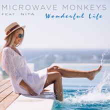 Microwave Monkeys, Nita: Wonderful Life