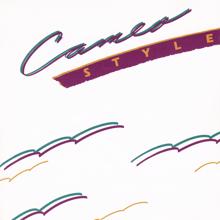 Cameo: Style