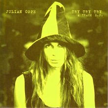 Julian Cope: Don't Jump Me, Mother