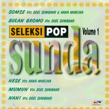 Doel Sumbang: Seleksi Pop Sunda, Vol. 1