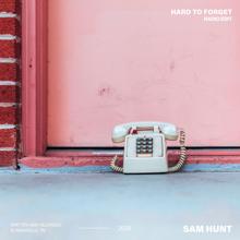 Sam Hunt: Hard To Forget (Radio Edit)