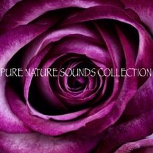 Nature Sounds: Pure Nature Sounds Collection