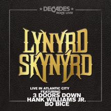 Lynyrd Skynyrd feat. Hank Williams Jr.: Down South Jukin' (Live)
