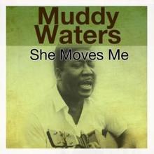 Muddy Waters: Atomic Bomb Blues
