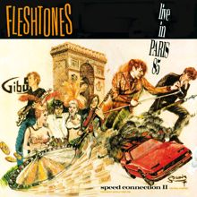 The Fleshtones: Speed Connection II - The Final Chapter (Live At Gibus Club, Paris, France /1985)