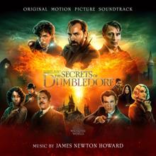 James Newton Howard: A Message to Deliver