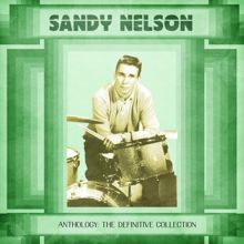 Sandy Nelson: Live It Up (Remastered)