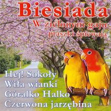 Various Artists: W zielonym gaju ptaszki spiewaja