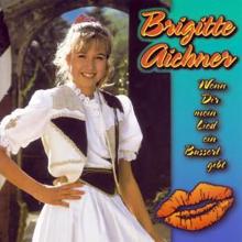 Brigitte Aichner: Wenn dir mein Lied ein Busserl gibt