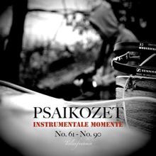 Psaikozet: Instrumentale Momente No. 61 - No. 90 (Teilaufnahmen)