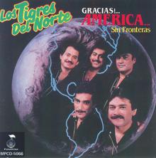 Los Tigres Del Norte: Sin Fronteras (Album Version)