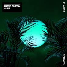 David Guetta, Sia: Flames (Sylvain Armand Remix)