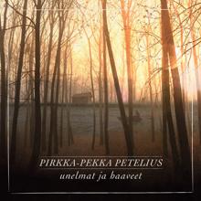 Pirkka-Pekka Petelius: Unelmat ja haaveet (Radio Edit)