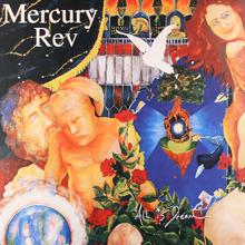 Mercury Rev: Spiders And Flies