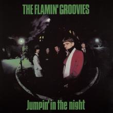 Flamin' Groovies: Jumpin' In The Night