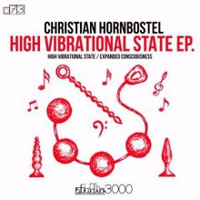 Christian Hornbostel: High Vibrational State EP